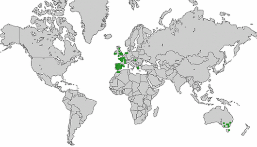 Trifolium ornithopodioides L.