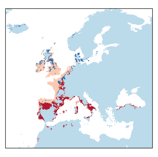 Trifolium ornithopodioides L.