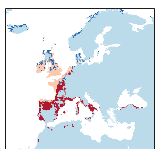 Trifolium ornithopodioides L.