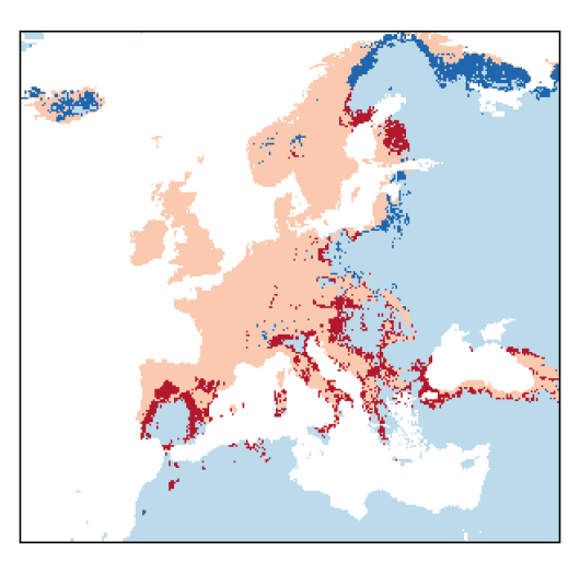 Trifolium pratense L.