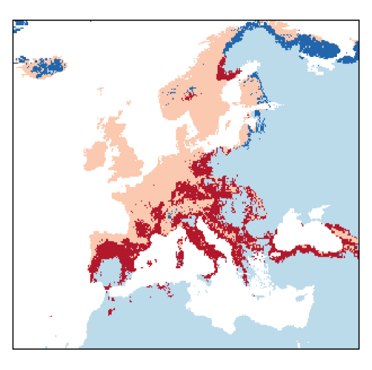 Trifolium pratense L.