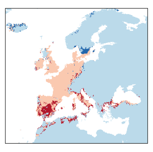 Trifolium striatum L.