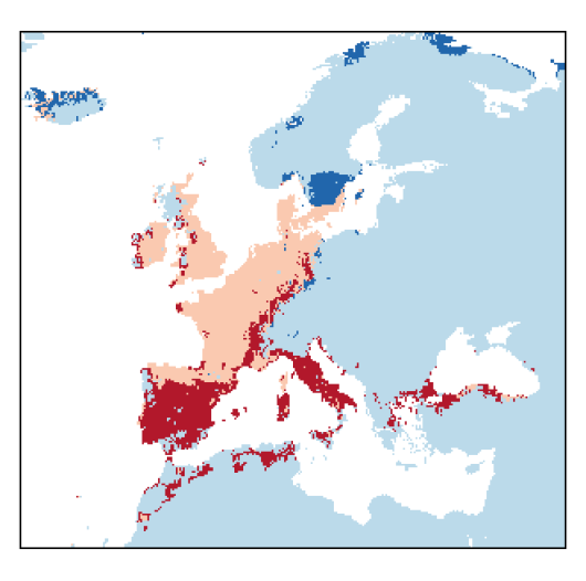 Trifolium striatum L.