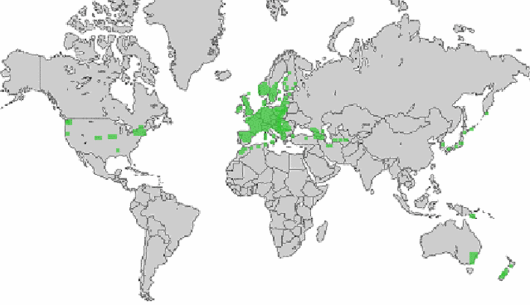 Trisetum flavescens (L.) P. Beauv.