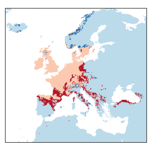 Trisetum flavescens (L.) P. Beauv.