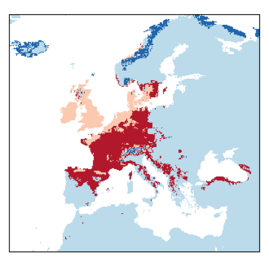 Trisetum flavescens (L.) P. Beauv.