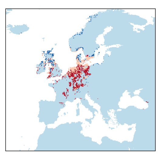 Vaccinium macrocarpon Aiton