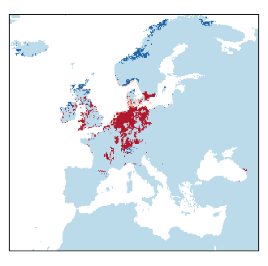 Vaccinium macrocarpon Aiton