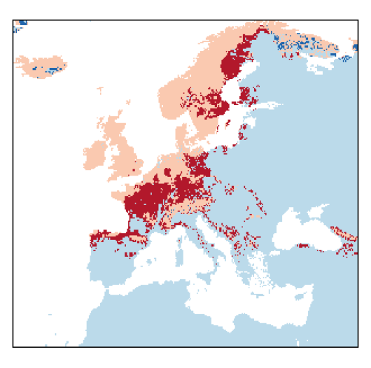 Vaccinium myrtillus L.