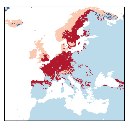 Vaccinium myrtillus L.