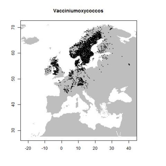 Vaccinium oxycoccos L.