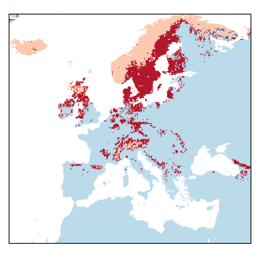 Vaccinium uliginosum L.