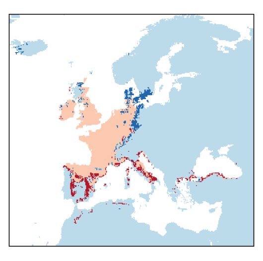 Valerianella carinata Loisel.