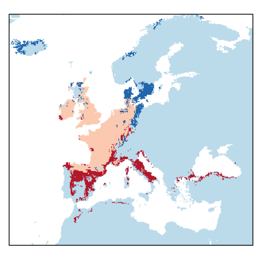 Valerianella carinata Loisel.