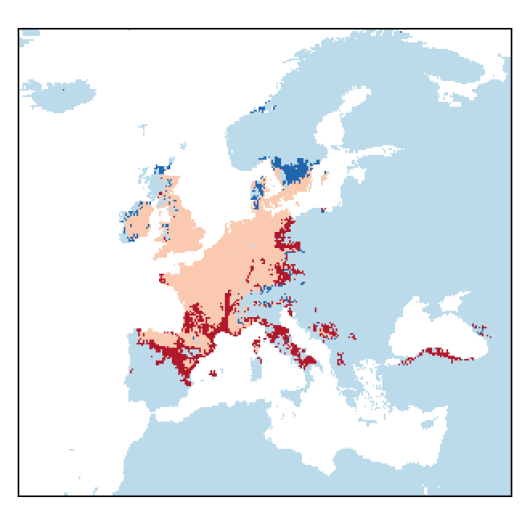 Valerianella dentata (L.) Pollich
