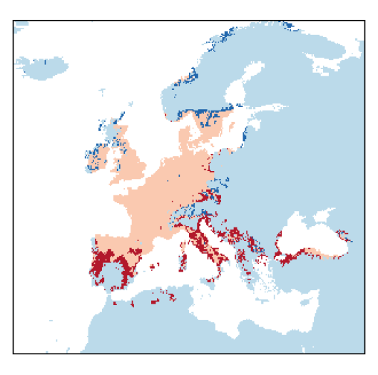Valerianella locusta (L.) Laterrade