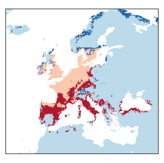 Valerianella locusta (L.) Laterrade