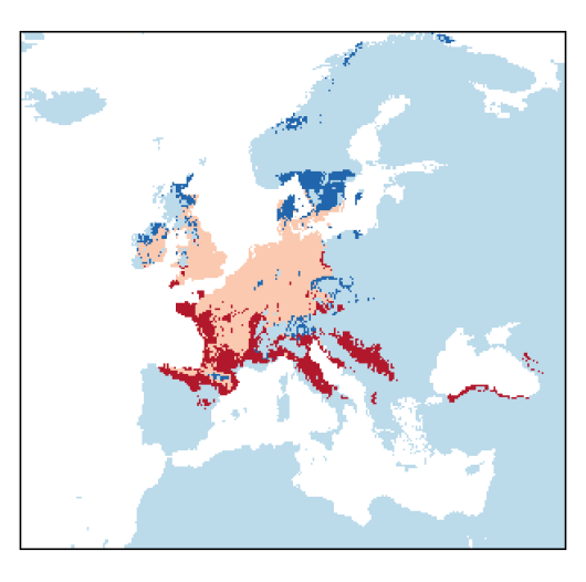 Valerianella rimosa Bastard