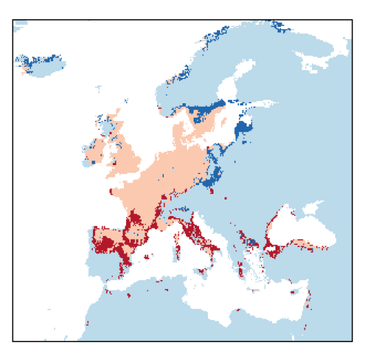 Vicia lathyroides L.