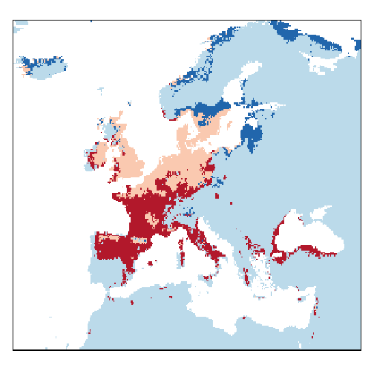 Vicia lathyroides L.