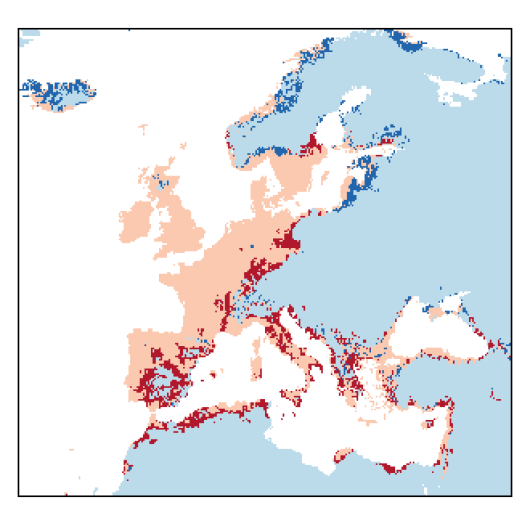 Vicia sativa subsp. angustifolia (L.) Asch. & Graebn.