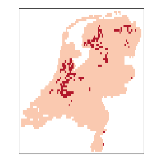 Vicia sativa subsp. segetalis L.