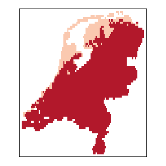 Vicia sativa subsp. segetalis L.