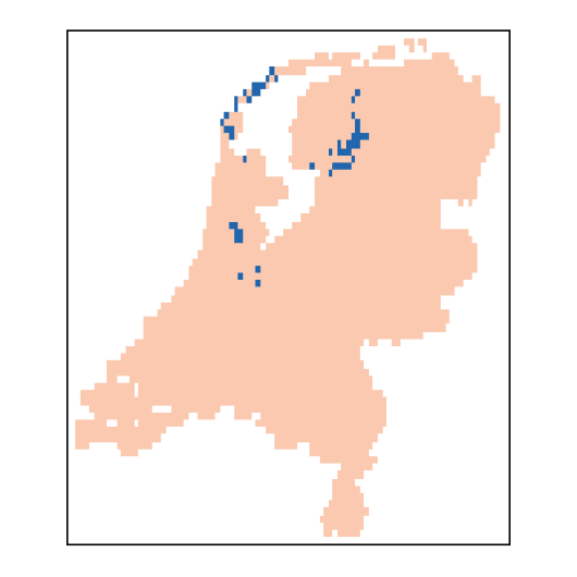 Vicia tenuifolia Roth