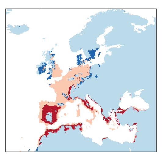 Vicia tetrasperma subsp. gracilis (DC.) Ascherson & Graebner