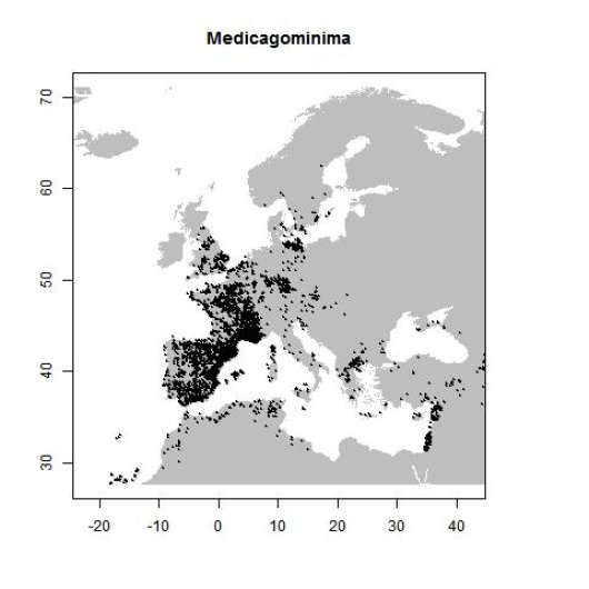Distribution data GBIF, August 2016. doi:10.15468/dl.rsnnpl