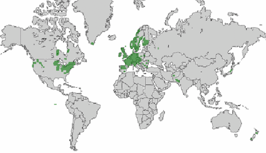 source: wilde-planten.nl, 2015 source: wilde-planten.nl, 2015