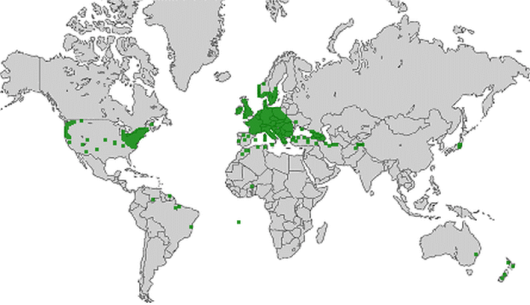 bron: wilde-planten.nl, 2015 bron: wilde-planten.nl, 2015