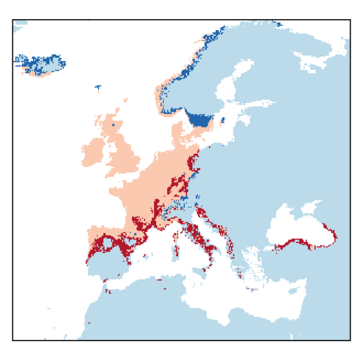 Ilexaquifolium_EU_C26-small.png