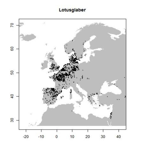 Distribution data GBIF, July 2017. doi:10.15468/dl.dwwzsg
