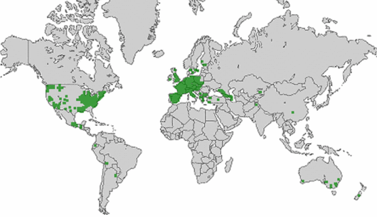 source: wilde-planten.nl, 2015 source: wilde-planten.nl, 2015