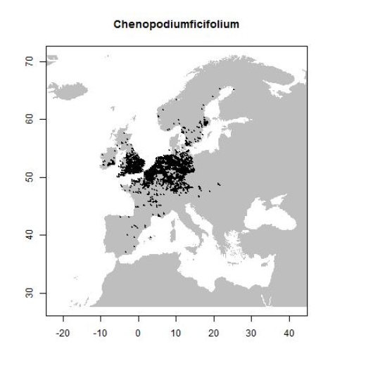 Distribution data GBIF, August 2016. doi:10.15468/dl.kg1ktb