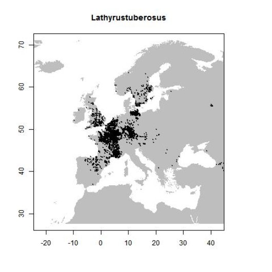 Distribution data GBIF, August 2016. doi:10.15468/dl.rk4xzd