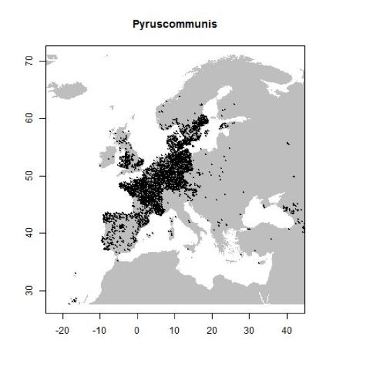 Distribution data GBIF, July 2017. doi:10.15468/dl.tvzkim