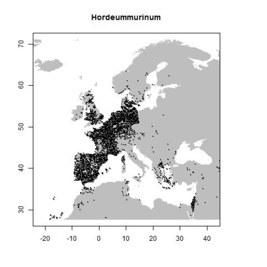 Verspreidingsgegevens GBIF, augustus 2017. doi:10.15468/dl.77ezoz