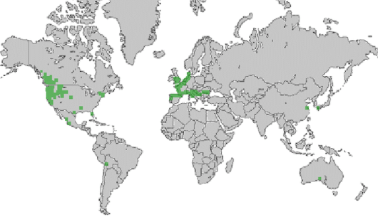 bron: wilde-planten.nl, 2015 bron: wilde-planten.nl, 2015
