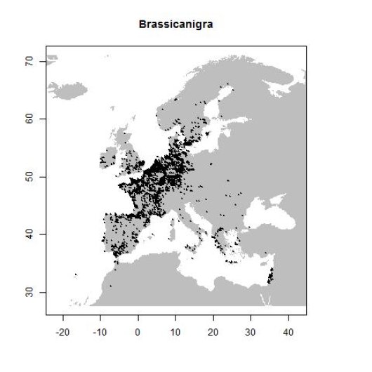Distribution data GBIF, May 2017. doi:10.15468/dl.cqrnoe