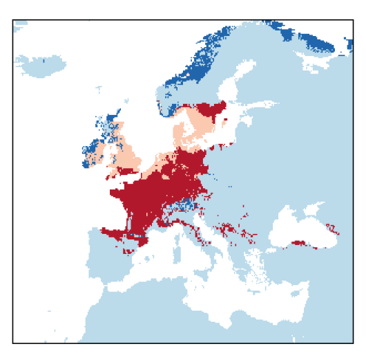 Bromussecalinus_EU_C85-small.png
