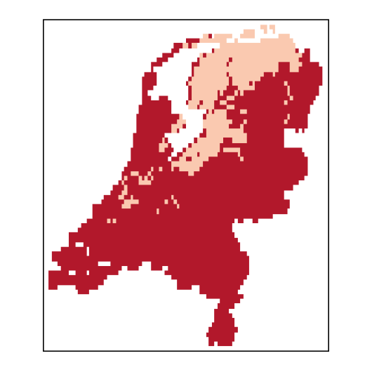 Phleumbertolonii_NL_C85-small.png