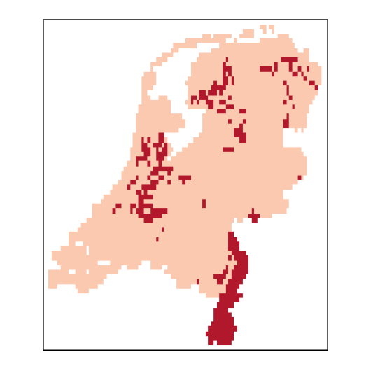 Agrostiscapillaris_NL_C85-small.png