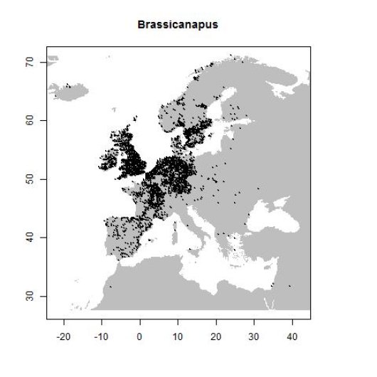 Distribution data GBIF, August 2016. doi:10.15468/dl.txcnmf