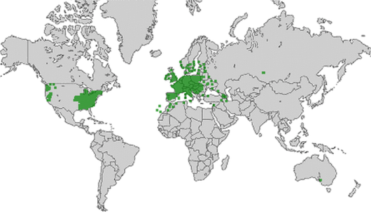 bron: wilde-planten.nl, 2015 bron: wilde-planten.nl, 2015