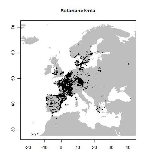 Distribution data GBIF, July 2017. doi:10.15468/dl.cviesm