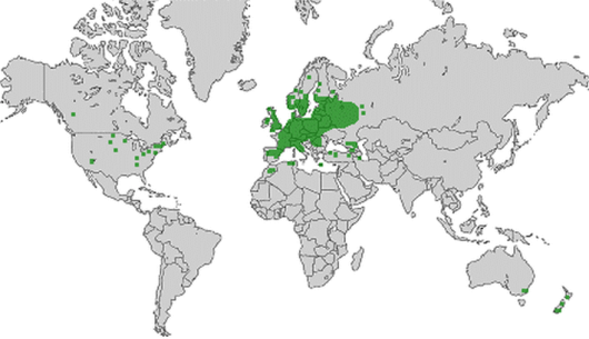 bron: wilde-planten.nl, 2015 bron: wilde-planten.nl, 2015