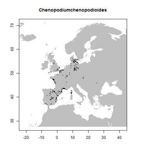 Verspreidingsgegevens GBIF, november 2016. doi:10.15468/dl.zopt6w