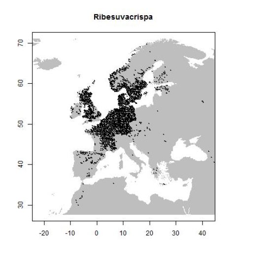 Verspreidingsgegevens GBIF, juli 2017. doi:10.15468/dl.xmihvm